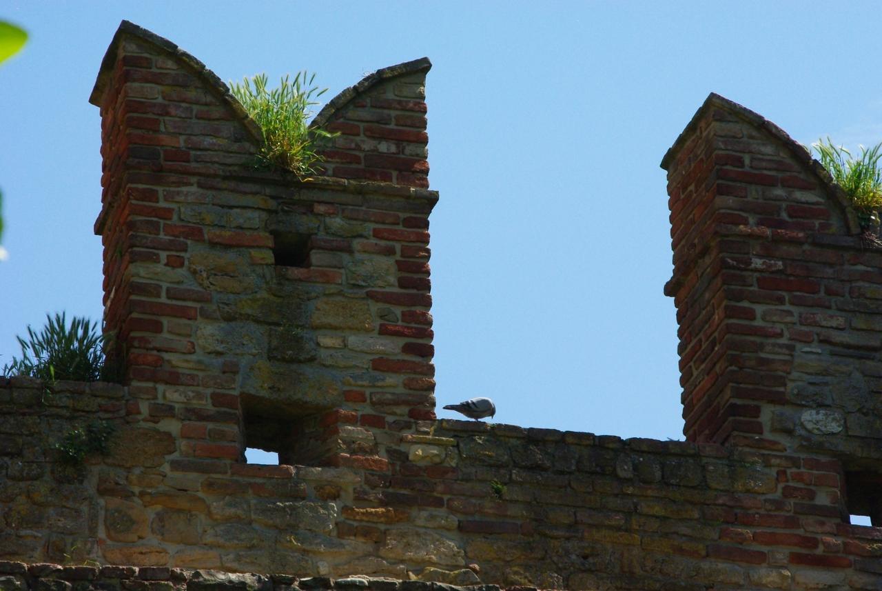 Villa Dircea Castell'Arquato Exterior photo